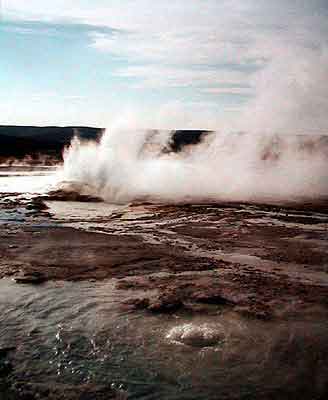 yellowstone park Wyoming