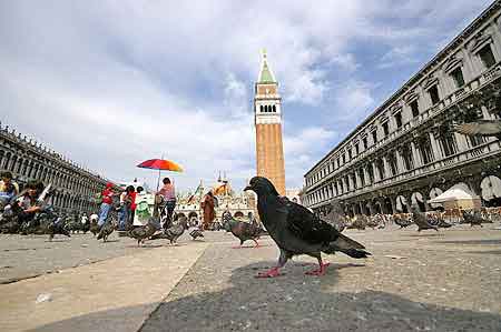 Place Saint Marc Venise, Italie 