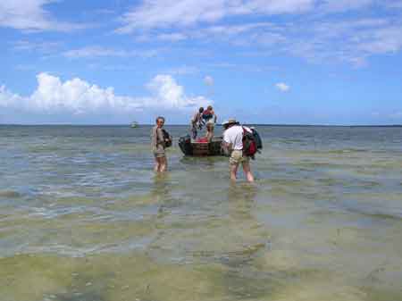 Chwaka Zanzibar Tanzanie