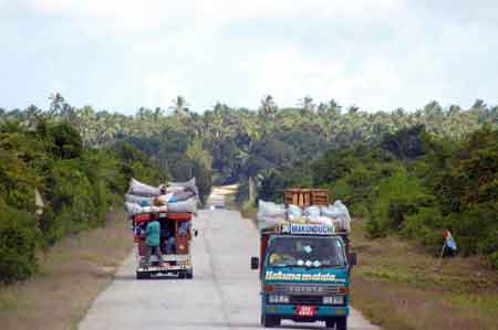 forêt de Jozani Zanzibar Tanzanie