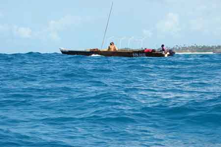  Zanzibar Kizimkazi : nage avec les dauphins Tanzanie