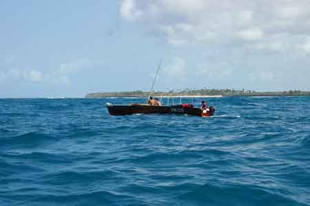  Zanzibar Kizimkazi : nage avec les dauphinsTanzanie