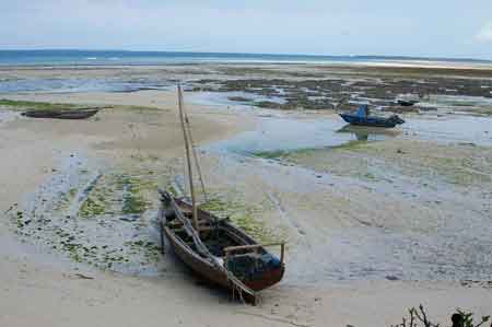  Zanzibar  Kizimkazi Tanzanie