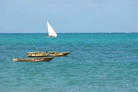  Zanzibar  Kizimkazi  Tanzanie