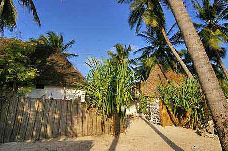 Janbiani Zanzibar Tanzanie