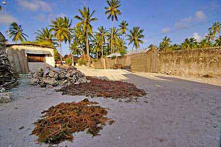 Janbiani Zanzibar Tanzanie