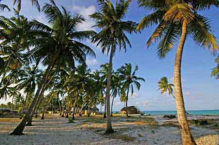 Janbiani Zanzibar Tanzanie