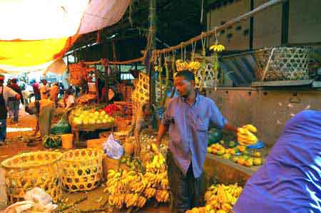 Stonetownmarché  Zanzibar Tanzanie