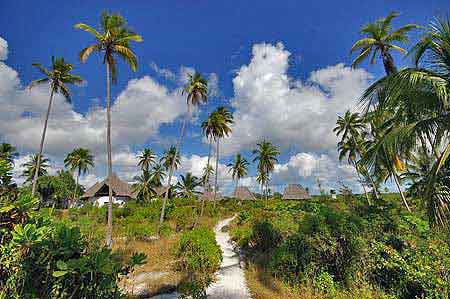  Matemwe  Zanzibar Tanzanie