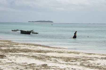  Matemwe  Zanzibar Tanzanie