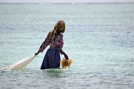  Matemwe  Zanzibar Tanzanie