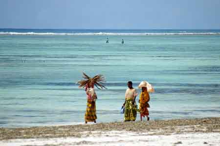  Matemwe  Zanzibar Tanzanie