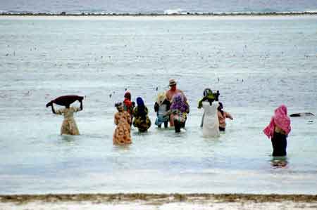  Matemwe  Zanzibar Tanzanie