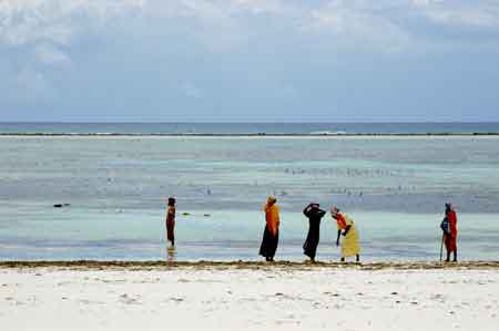  Matemwe  Zanzibar Tanzanie