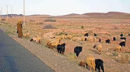 Route de Teneghir - sud du maroc