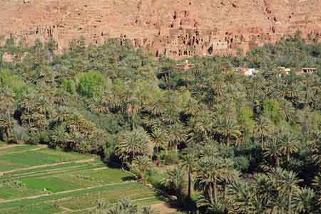 vallée du todra - sud maroc