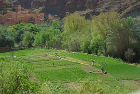 gorges du Todra - sud Maroc