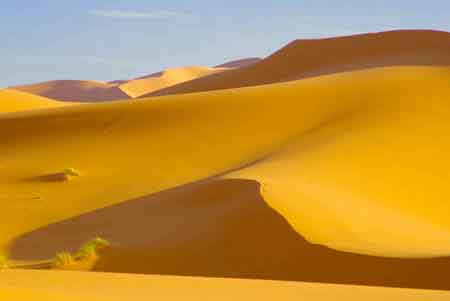 balade en domadaire dans les dunes de Merzouga au sud du Maroc