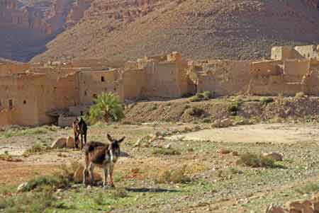 vallée du Ziz  sud du Maroc