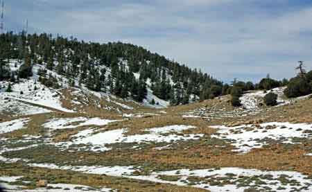 Grand sud maroc - Azrou - Atlas