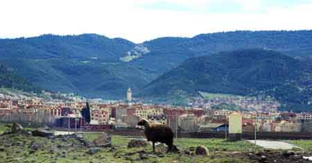 Grand sud maroc - Azrou - Atlas