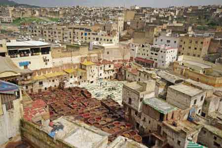 Souk des tanneurs à Fès