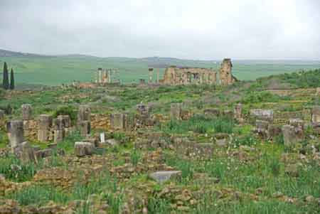 Volubilis, ville romaine, nord du Maroc