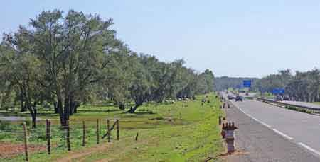 route de Rabat 