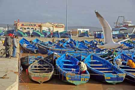 le port d'Essaouira