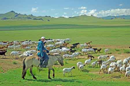 Mongolie : la steppe