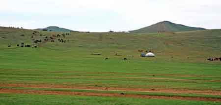 Mongolie : le parc national de Khogno Khan