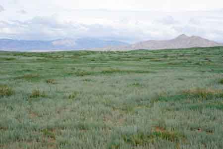 Mongolie : le parc national de Khogno Khan