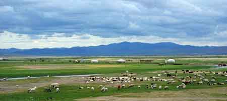 Mongolie : le parc national de Khogno Khan