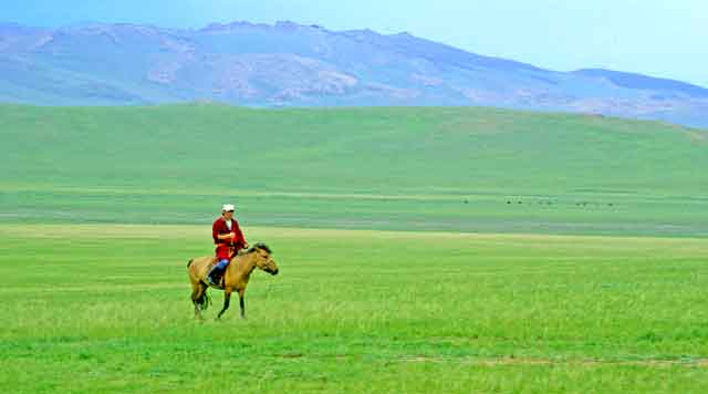 la steppe mongole