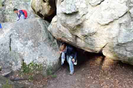 Forêt de Fontainebleau