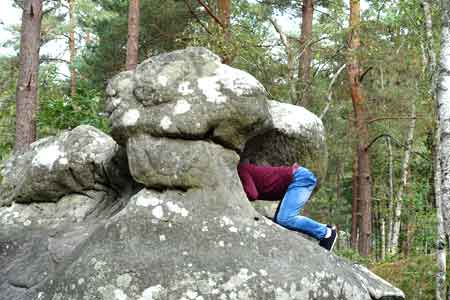 foret de fontainebleau rocher