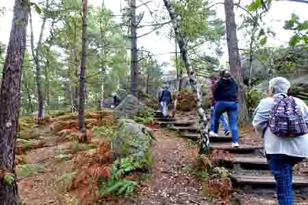 Forêt de Fontainebleau