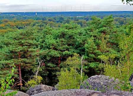 panorama, foret de fontainebleau