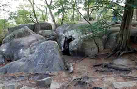 Forêt de Fontainebleau