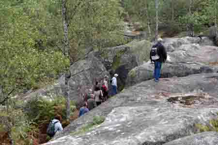 Forêt de Fontainebleau