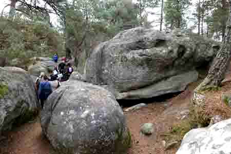 Forêt de Fontainebleau