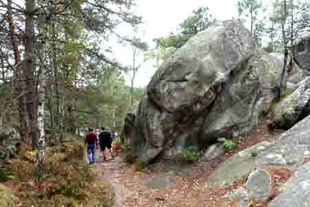 Forêt de Fontainebleau