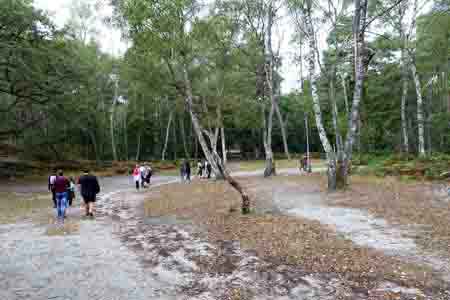 Forêt de Fontainebleau