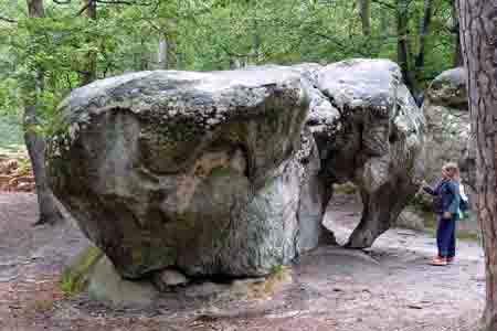 Forêt de Fontainebleau rocher de l'éléphant