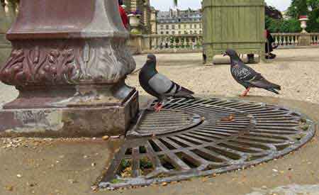 le jardin du Luxembourg