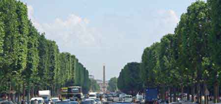 Paris avenue des champs Elysées