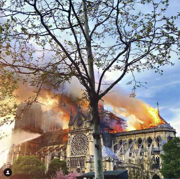 incendie de la cathédrale Notre Dame de Paris