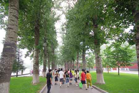 parc Beihai et la colline de charbon Pékin