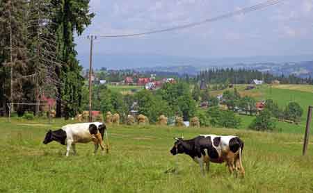 Zakopane Tatras Mont Gubalowka