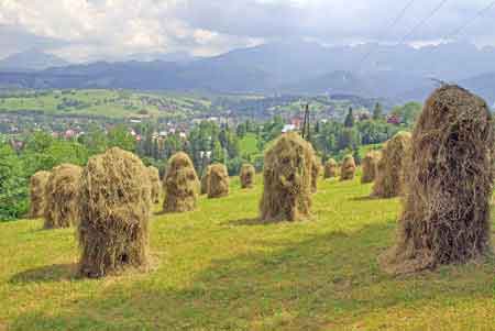 Zakopane Tatras Carpates Pologne